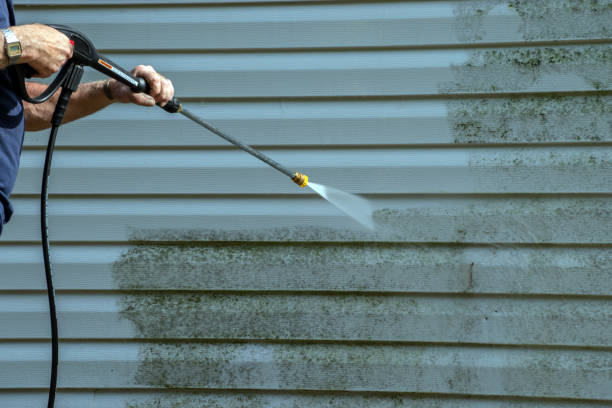 Trusted Naples, TX Pressure Washing Services Experts